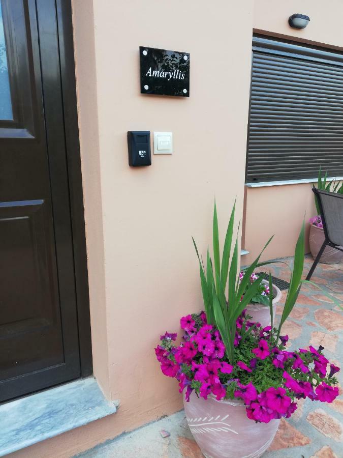 Corfu  Dimitra - Loft Apartments מראה חיצוני תמונה